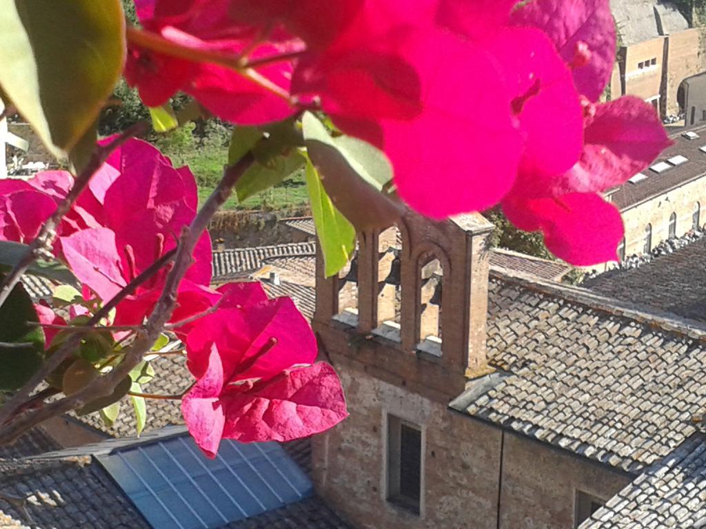 Bed and Breakfast Residenza D'Epoca Campo Regio Relais Siena Exterior foto